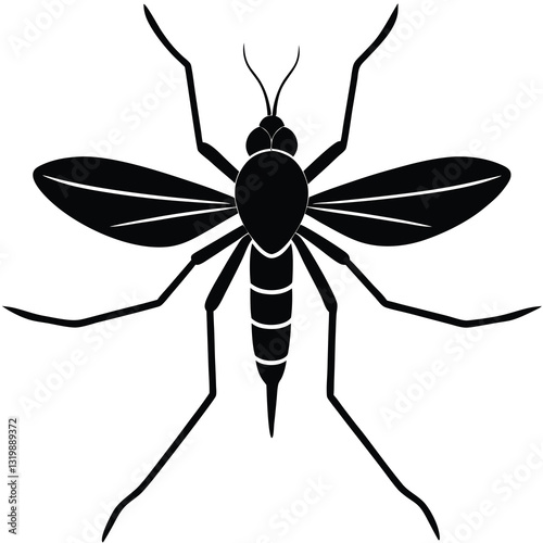 black spider vector