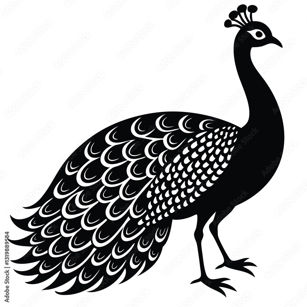 Fototapeta premium peacock vector illustration