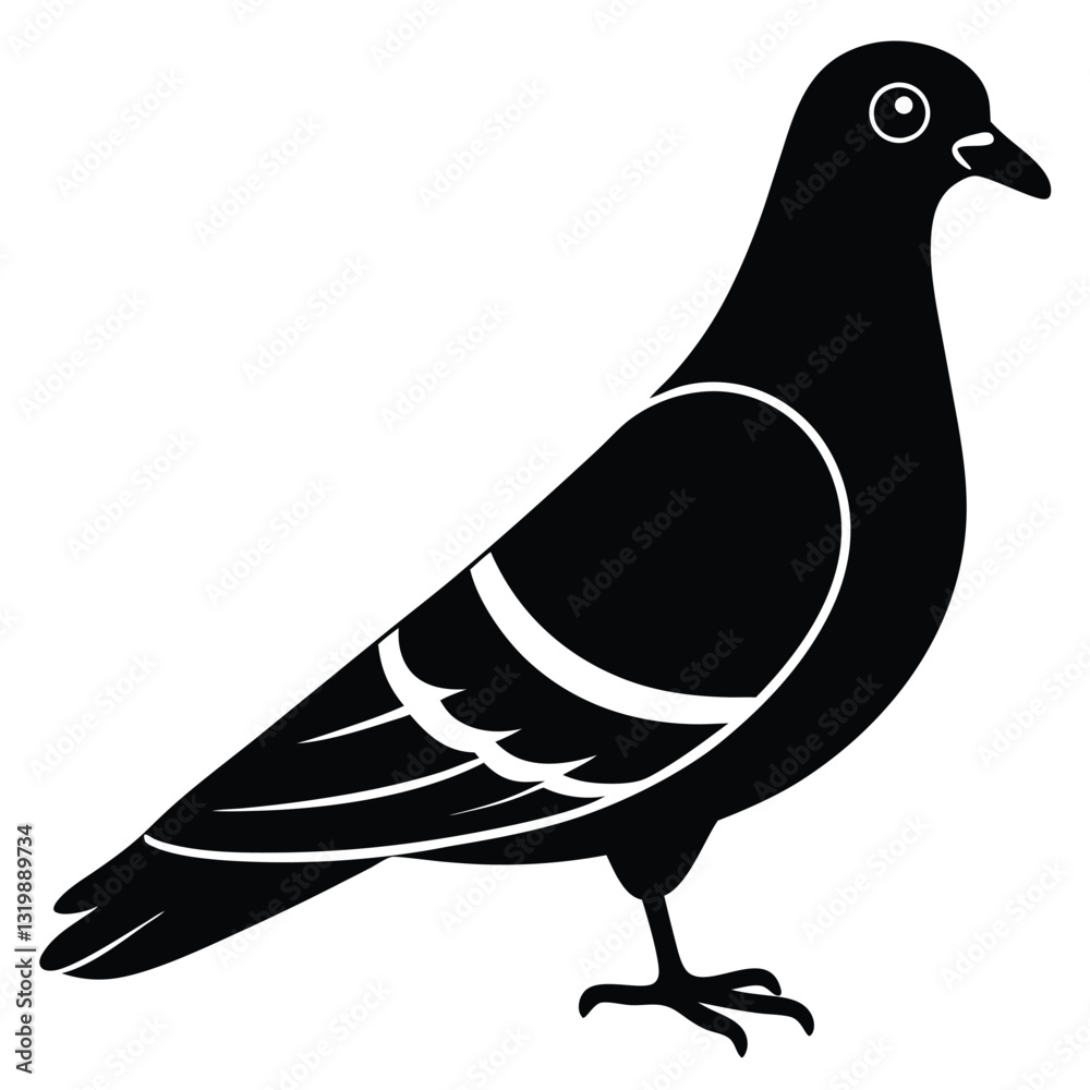Fototapeta premium vector illustration of a pigeon
