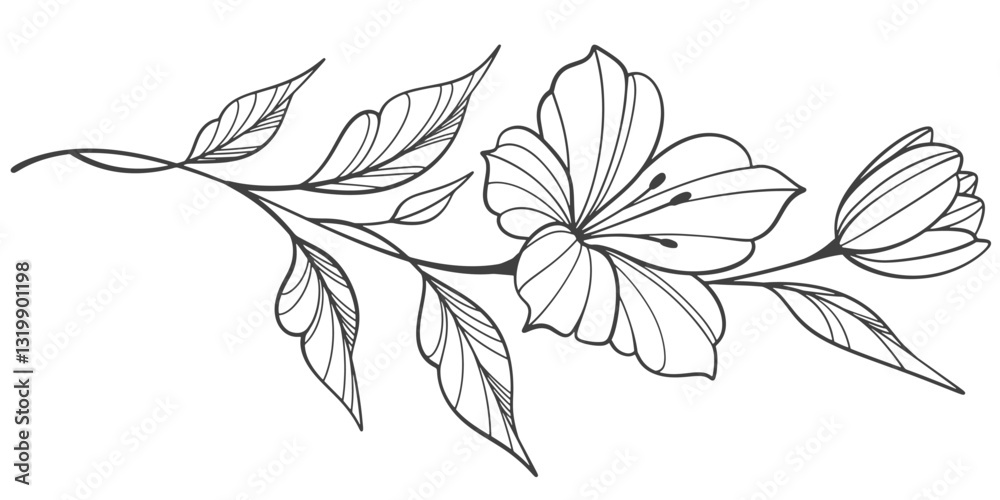Fototapeta premium Line art floral botanical on transparent background vector. floral, flowers, leaves, foliage, branches in hand drawn. Floral element design