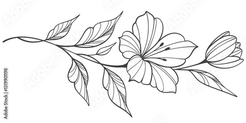 Line art floral botanical on transparent background vector. floral, flowers, leaves, foliage, branches in hand drawn. Floral element design