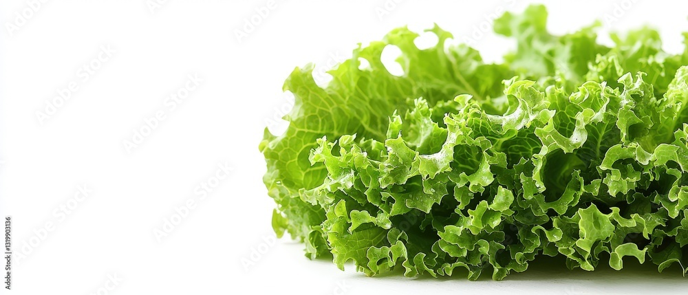 Obraz premium Fresh Green Lettuce Leaves Isolated on White Background
