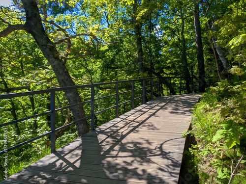 Empty boardwalk trail made by wooden planks outdoors in deciduous forest or park with lush green trees at sunny spring day. With no people peaceful woodland landscape.