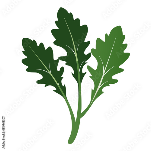 Arugula Vector Silhouette Illustration - White Background, Clipart, Cartoons & Line Art, Arugula vector silhouette design, perfect for healthy food graphics and illustrations.
