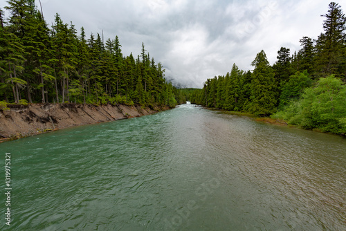 untamed river flowing through the forest in Montana