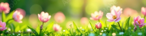 Soft pastel blooms in a lush spring meadow, sunlit Delicate petals and fresh green leaves , landscape, spring blossom