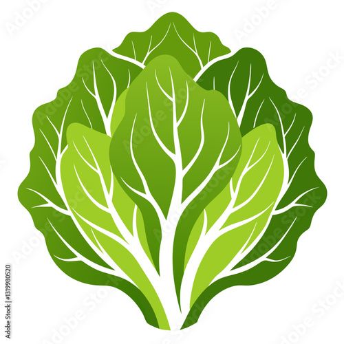 Vector Lettuce Silhouette with White Background – Clipart, Cartoon & Line Art Design, Fresh vector lettuce silhouette design on white background for digital use
