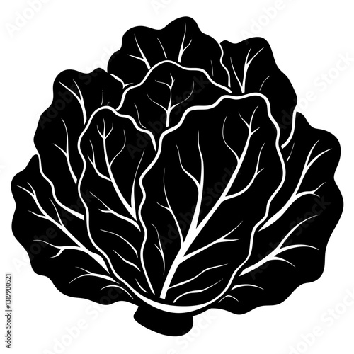 Vector Lettuce Silhouette with White Background – Clipart, Cartoon & Line Art Design, Fresh vector lettuce silhouette design on white background for digital use