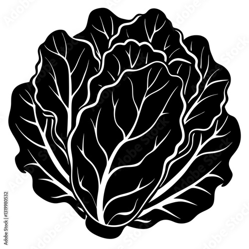 Vector Lettuce Silhouette with White Background – Clipart, Cartoon & Line Art Design, Fresh vector lettuce silhouette design on white background for digital use