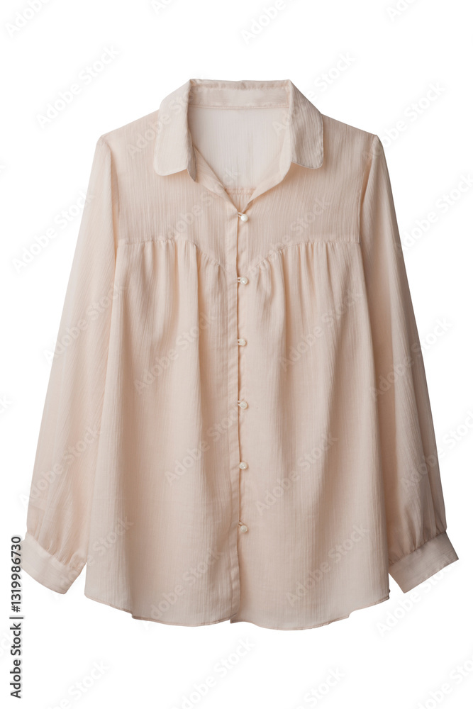 Obraz premium ブラウス (blouse)