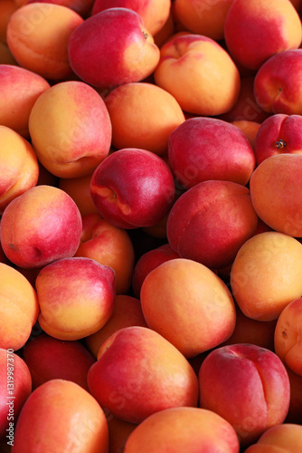 Many juicy nectarines arranged together, showing their bright, golden skin and fresh texture