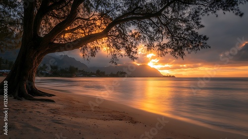 Serene Sunset Beach Scene with Tree Silhouette