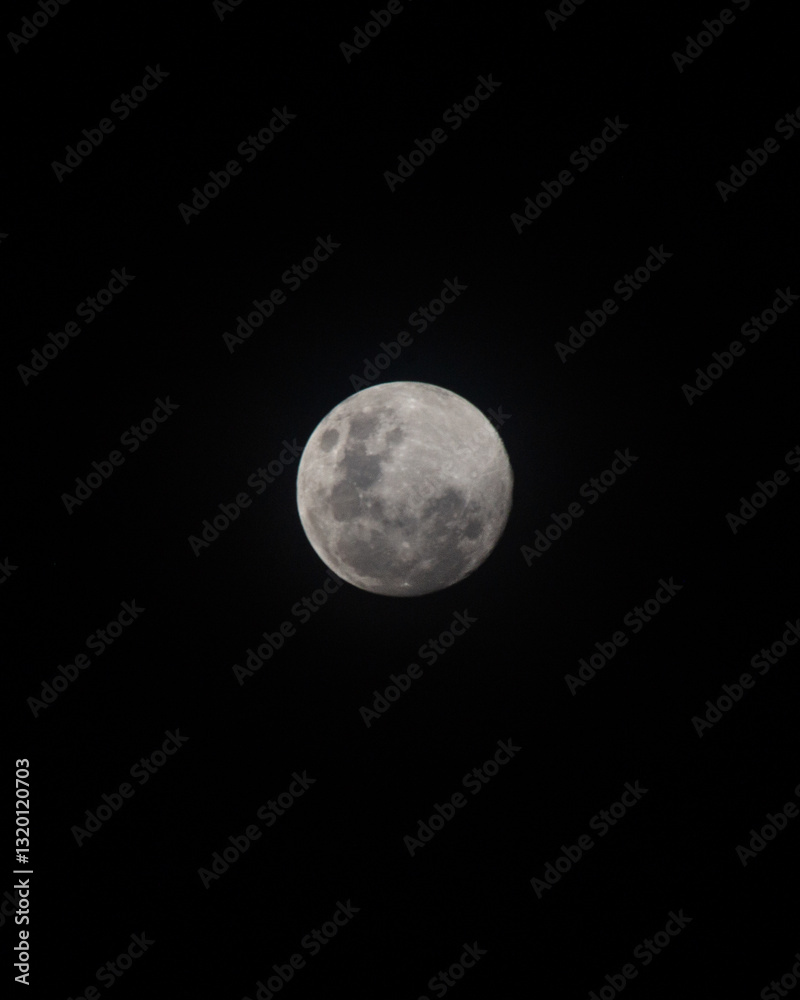 Lua Lua