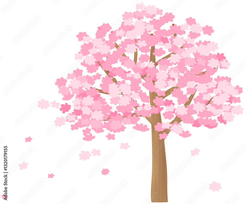 Obraz premium pink cherry blossom