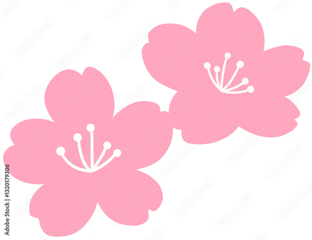 Fototapeta premium pink flower vector