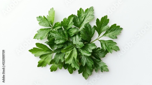Vibrant green leaves form a radiant circle on a pristine white background, artfully overlapping for dynamic texture. Each leaf is identical in shape, radiating symmetry and elegance photo