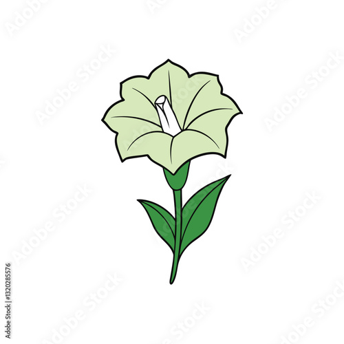 datura flower on a white background.