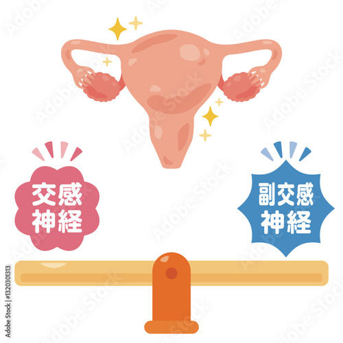 バランスの取れた自律神経と健康的な子宮のイラスト