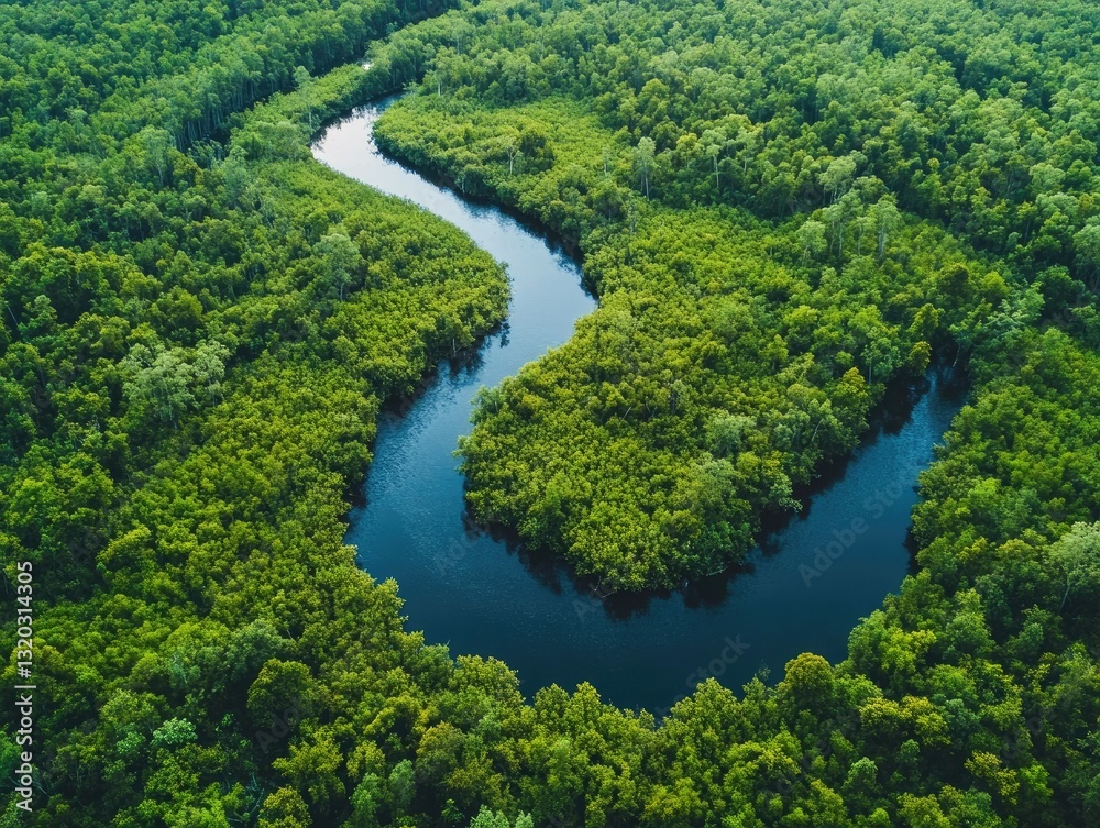 Fototapeta premium Serpentine River Flowing Through a Lush Green Forest Canopy