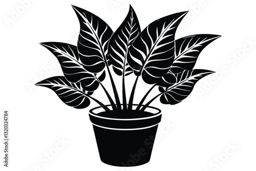 houseplant monstera deliciosa in a pot silhouette