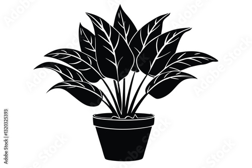 houseplant monstera deliciosa in a pot silhouette
