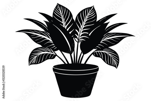 Houseplant monstera deliciosa in a pot. plant vector silhouette isolated on white background