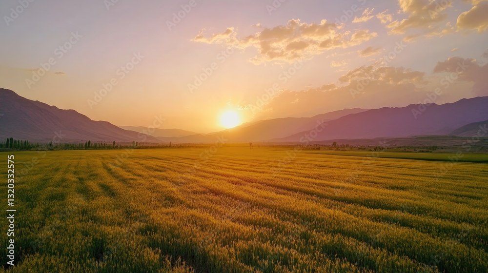 Fototapeta premium Golden Field at Dusk, A Serene Landscape with Mountain Silhouettes