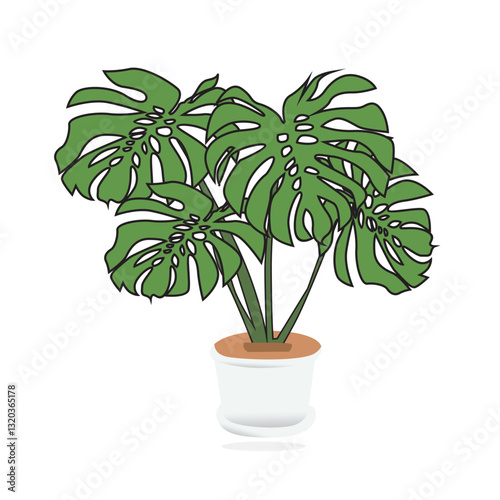 plant in a pot