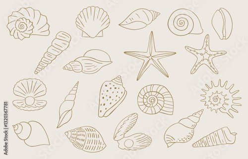 seashell outline icon with boho style