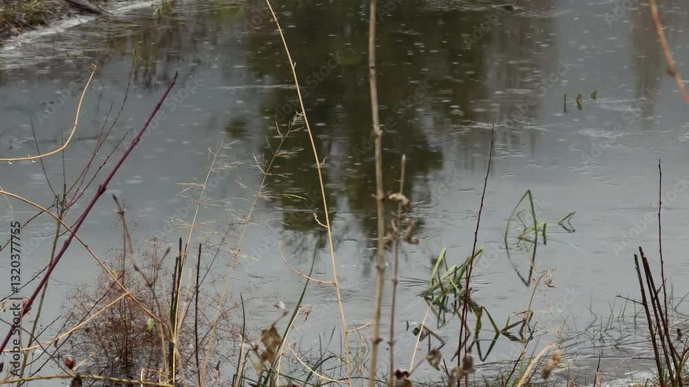 River water raindrops reflection wet weather standing lake high humidity River water raindrops reflection wet weather standing lake high humidity