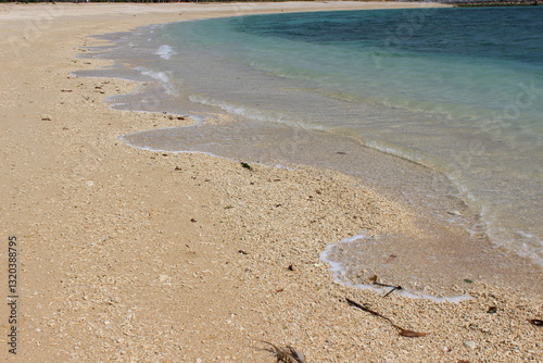 海
