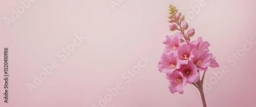 Wallpaper Mural Delicate Pink Flowers on Pink Background - Minimalism Torontodigital.ca