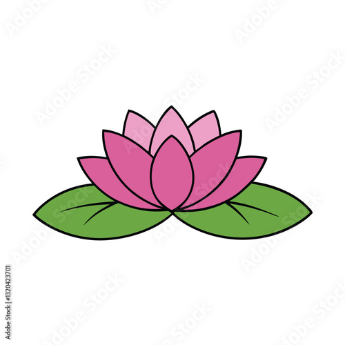 nymphaea water lily flower on a white background.2