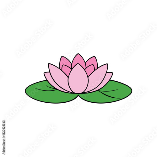 nymphaea water lily flower on a white background.