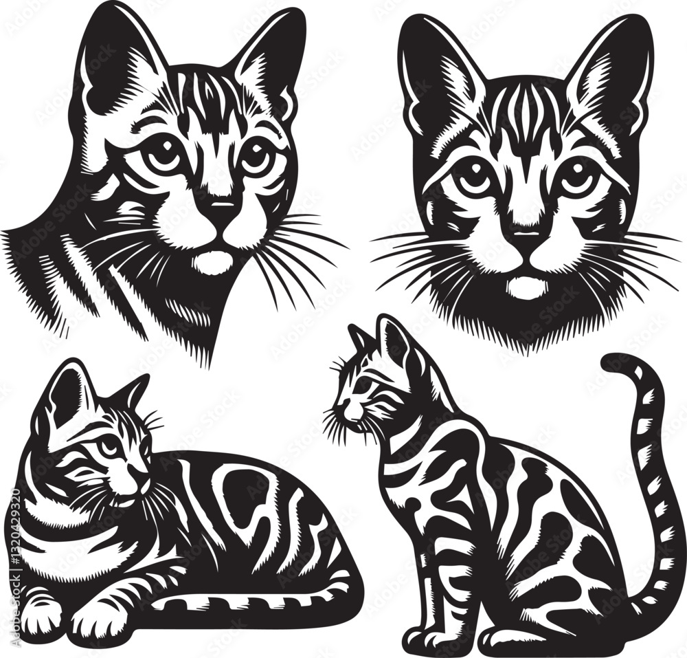 Obraz premium Bengal cat vector in black and white