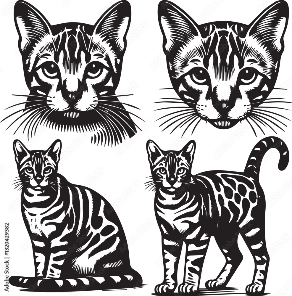 Obraz premium Bengal cat vector in black and white