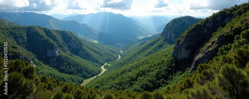 Close-up of a Tamborine Mountain pan, Queensland, Australia , still life, vintage