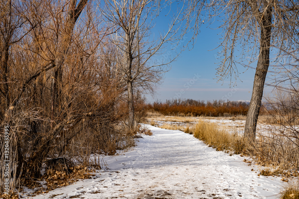 Snow covered path adventure journey sunny winter day Snow covered path adventure journey sunny winter day