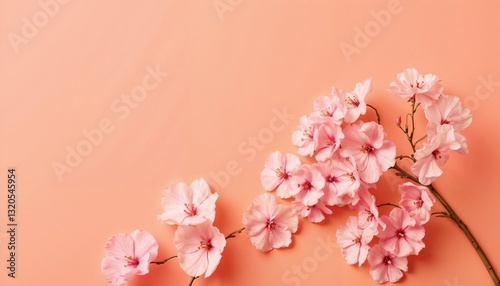 Wallpaper Mural Peach-toned cherry blossoms arranged on a warm pastel background Torontodigital.ca