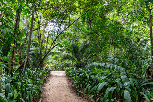 Museum Emilio Goeldi at Belem, Brazil. A Research Institute and Museum with Fauna and Flora from Brazilian Amazon