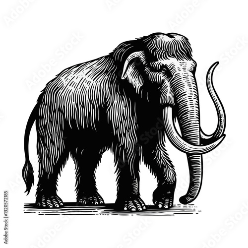 mammoth engraved logo icon design illustration