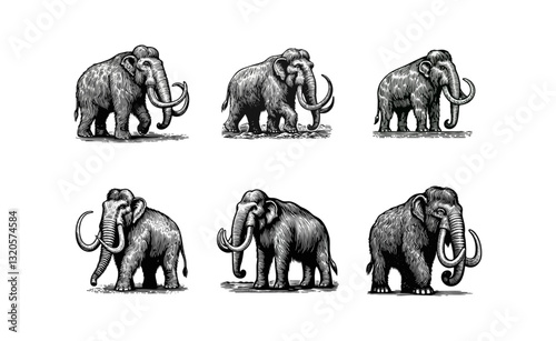 mammoth engraved logo icon design illustration