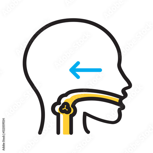 Vector multi color icon for Swallow
