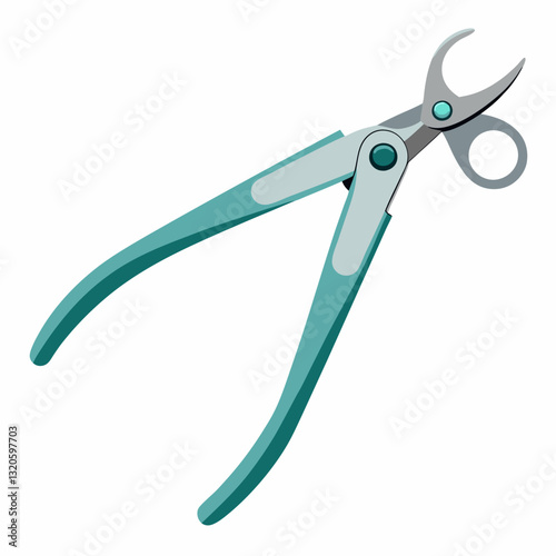 surgical forceps with a locking mechanism