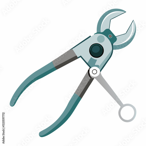 surgical forceps with a locking mechanism