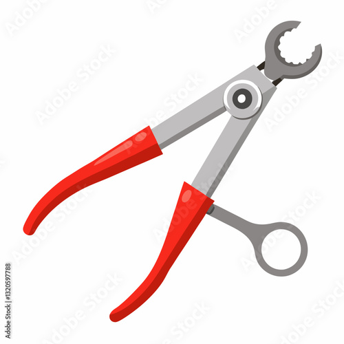 surgical forceps with a locking mechanism