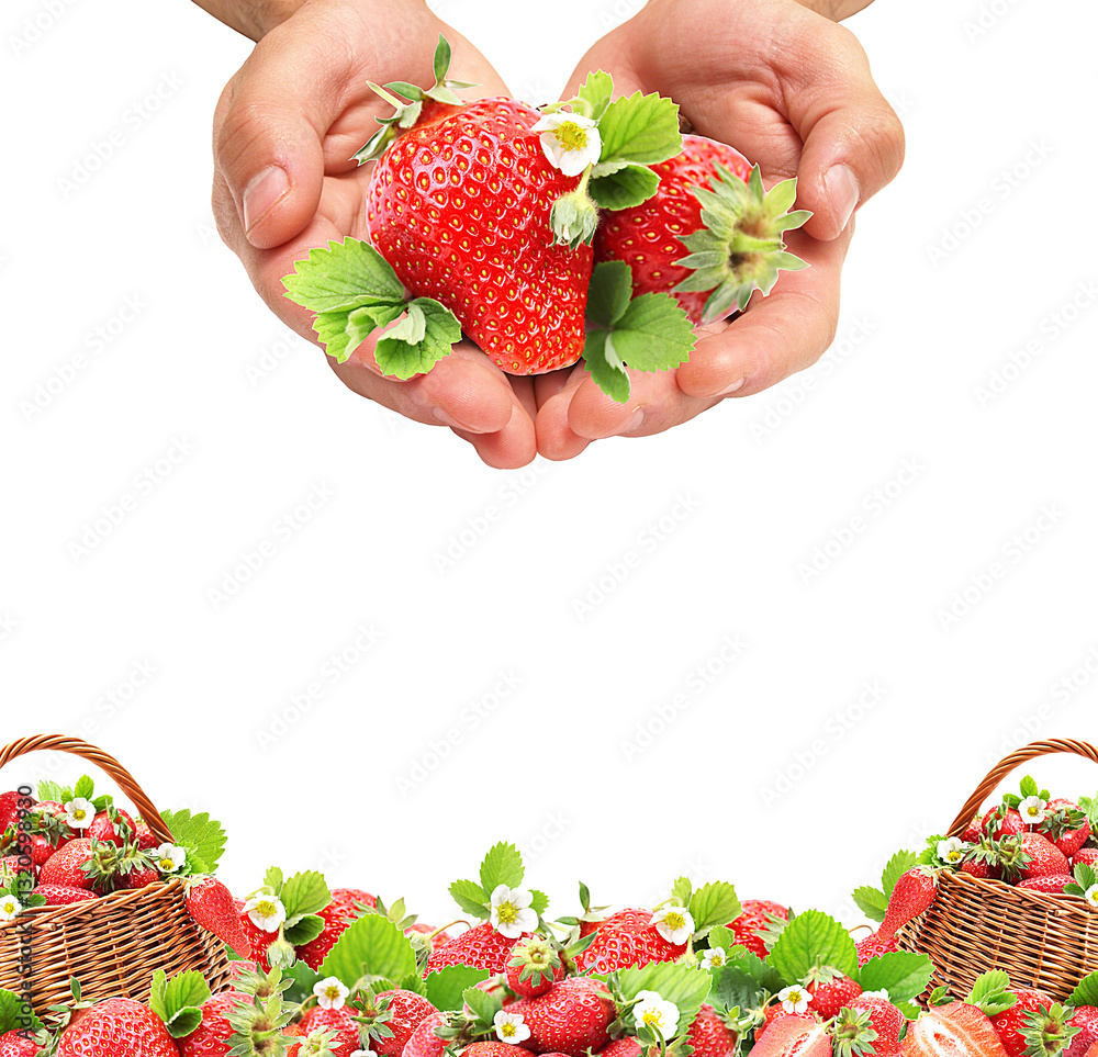 Strawberries in a basket isolated