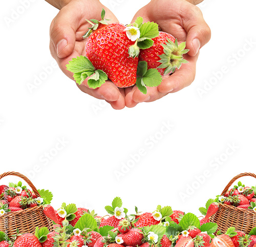 Obraz na płótnie Strawberries in a basket isolated w salonie