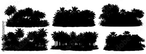 Tropical forest collection with palm trees and shrubs, exotic garden foliage, black silhouette with transparent background.