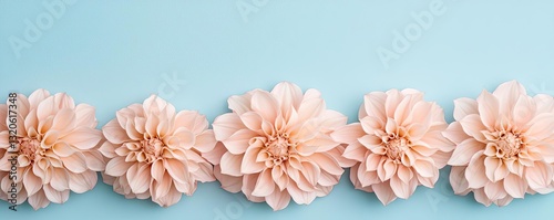 Floral illustration abstract background idea. Beautiful stack of soft peach flowers on a light blue background.